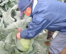 「はちやの餃子」ブログ